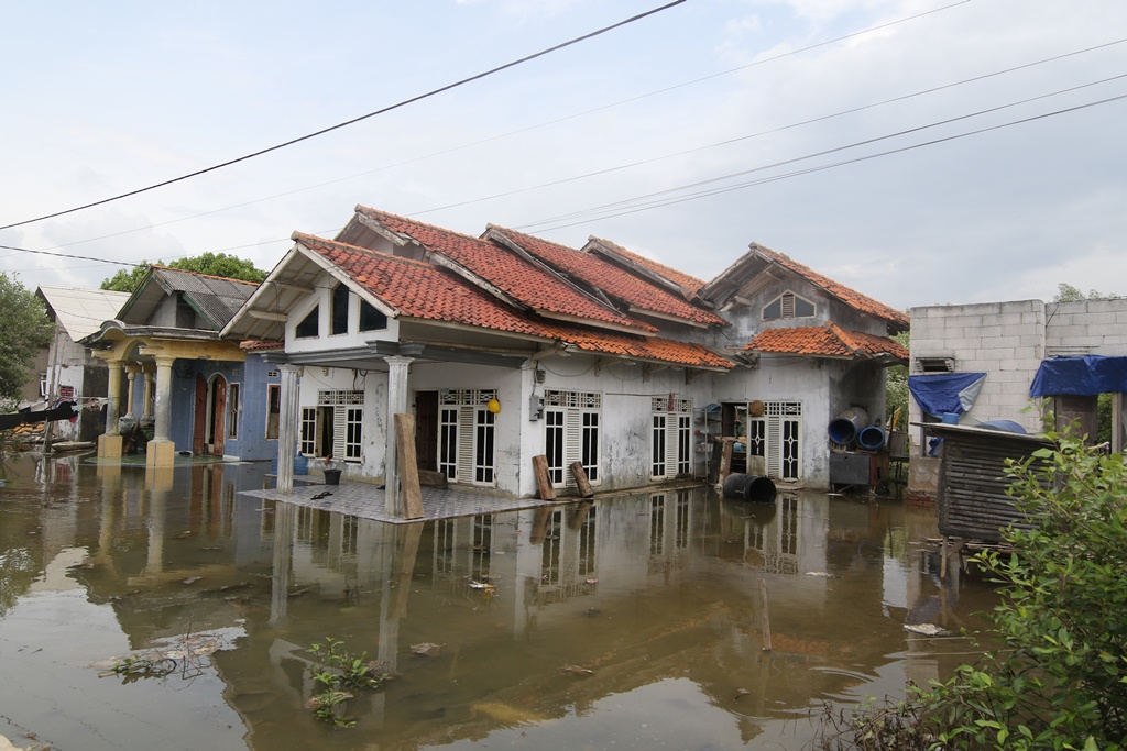 GROWVE! Grow with Mangrove